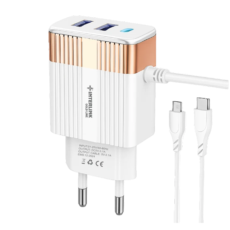 I-295 | GOLD LINE DC CHARGER FOR 12V BATTERIES